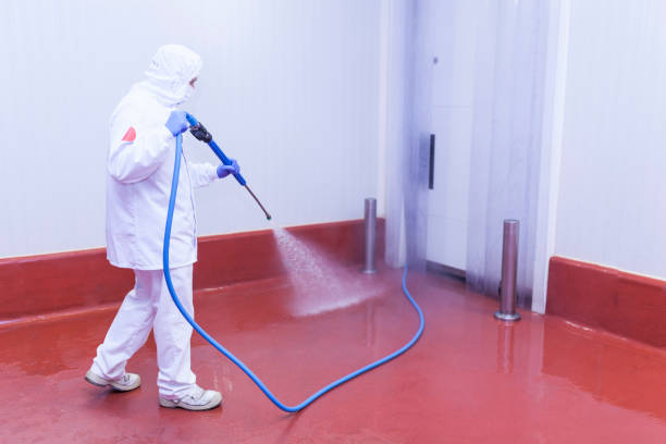 Best Sidewalk and Walkway Cleaning  in Kalama, WA